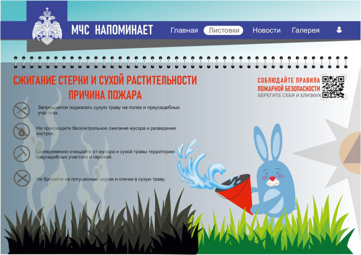 Выжигание сухой растительности опасно! Выжигание сухой растительности опасно!.