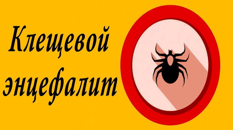 Клещевой вирусный энцефалит (КВЭ) Клещевой вирусный энцефалит (КВЭ).